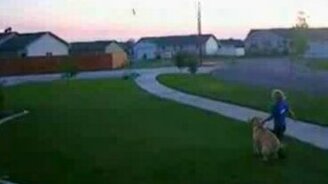 Неудачная игра с псиной - смотреть видео (0:10)