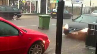 Опасные ходячие урны - смотреть видео (0:19)