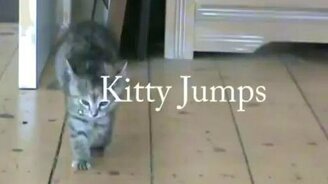 Котёнок-попрыгунчик - смотреть видео (0:42)