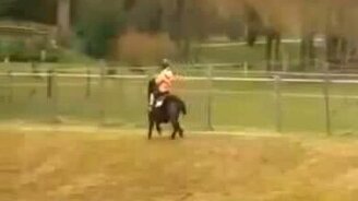 Погнался индюк - смотреть видео (0:43)