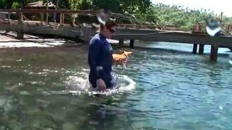 Кот - ловкий пловец - смотреть видео (2:46)