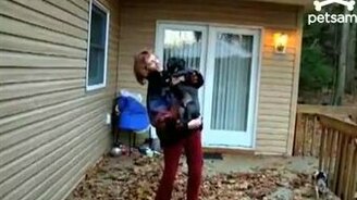 Ну прям ураган, а не пёс! - смотреть видео (0:49)