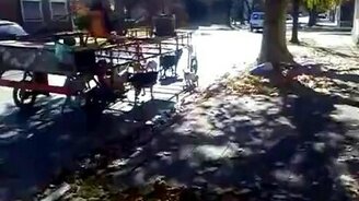 Странная собачья упряжка - смотреть видео (0:24)