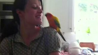 Яркий танцор - смотреть видео (0:33)