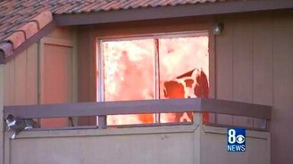 Кот спасается от пожара - смотреть видео (0:21)