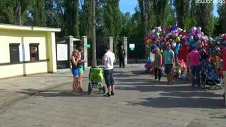 Розыгрыш гориллы - смотреть видео (2:54)