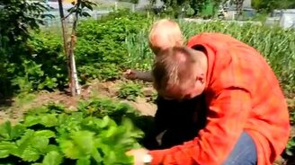 Заливной смех - смотреть видео (0:54)