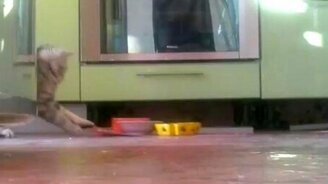 Не смотрите, как я ем - смотреть видео (0:33)