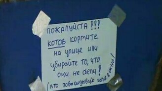 А у вас в подъезде есть коты? - смотреть видео (0:46)