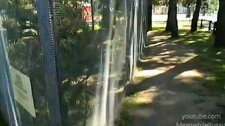 Крутая белочка - смотреть видео (1:03)