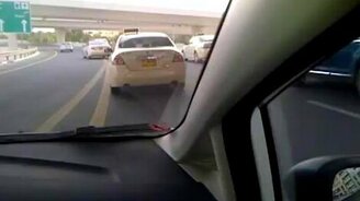 Внезапный верблюд - смотреть видео (0:28)