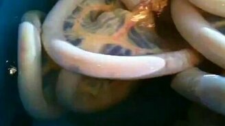 Кто первый скажет, что это? - смотреть видео (1:05)