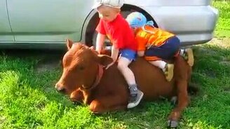 Малыши и животные - смотреть видео (2:17)