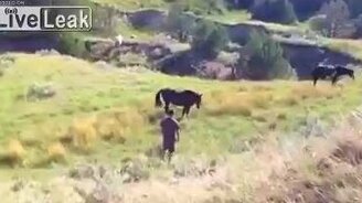 Решил лошадь оседлать... - смотреть видео (0:24)