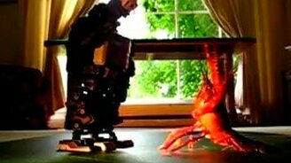 Робот борется с лобстером - смотреть видео (0:54)