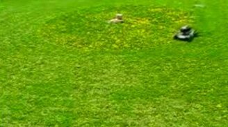 Стрижка газона - смотреть видео (0:47)