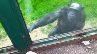 Разговор на пальцах - смотреть видео (0:48)