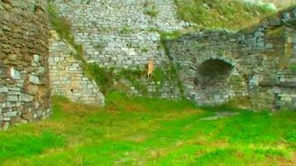 Собака увлекается паркуром - смотреть видео (3:33)