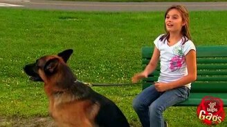 Здесь же был туалет! - смотреть видео (1:21)