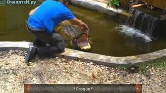 Подборка нелепых курьёзов - смотреть видео (12:19)