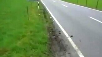 Прокатились на скейте - смотреть видео (0:48)