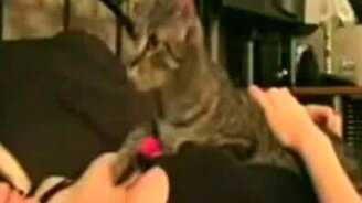 Не трогай, это моё! - смотреть видео (1:12)