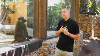 Прикольная подборка курьёзов на развлечениях - смотреть видео (12:47)