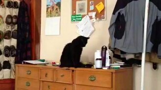 Пузырёк тут не нужен! - смотреть видео (0:19)