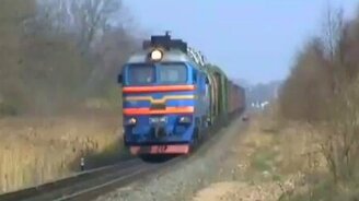 Пёс троллит паровоз - смотреть видео (0:22)