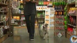 Домашний незаменимый помощник - смотреть видео (3:33)