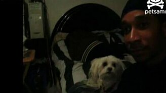 Суперчувствителная собака - смотреть видео (0:50)