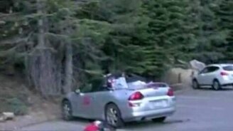 Медведь распотрошил кабриолет - смотреть видео (0:59)