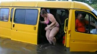 Пассажиры-бегемоты - смотреть видео (1:50)