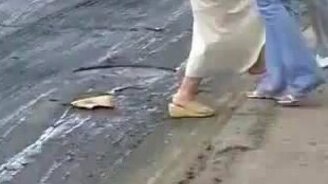 Как перейти русскую дорогу - смотреть видео (2:18)