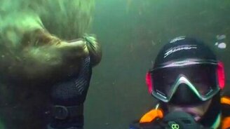 Тёплое рукопожатие - смотреть видео (1:07)