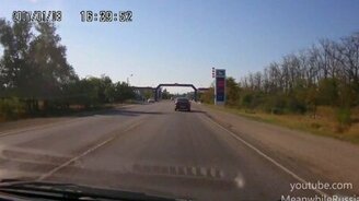 Взбесившиеся овцы - смотреть видео (0:43)