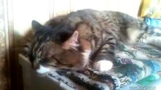 Мой любимый режим отжима - смотреть видео (0:37)