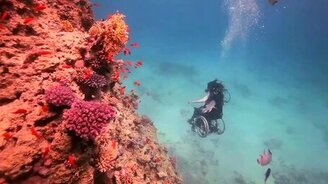 Кресло для дайвинга - смотреть видео (4:44)