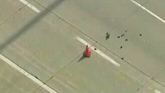 Утки-экстремалы - смотреть видео (0:56)