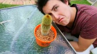 Сжал голой рукой кактус - смотреть видео (1:13)