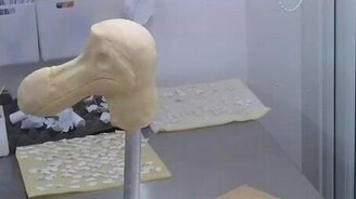 Торт-шедевр - смотреть видео (3:18)