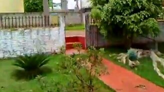 Необычный домашний охранник - смотреть видео (0:49)