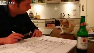 Соорудил дом для кота - смотреть видео (5:01)