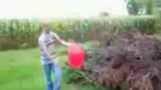 Поджог кучи веток - смотреть видео (1:19)