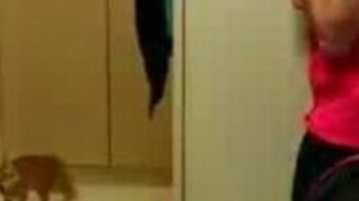 Восточный котяра - смотреть видео (0:55)