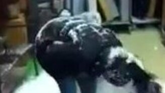 Дырявое кресло - смотреть видео (0:47)