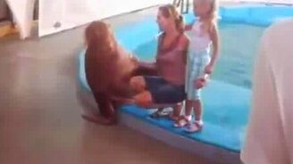 Реальный самец - смотреть видео (0:34)