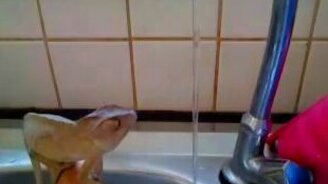 Хамелеон и струя воды - смотреть видео (0:30)