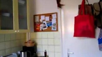 Ловкая белка в кватрире - смотреть видео (0:40)