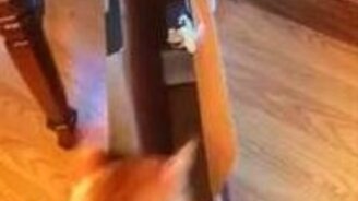 Не совладал с коробкой - смотреть видео (0:18)